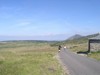 P1010008.JPG