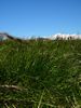 DSCN2053.JPG