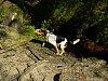 DSCN2270.jpg