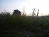 07-07-2013-1654.jpg