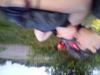 07-07-2013-1658.jpg