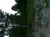08-07-2013-1586.jpg