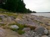 08-07-2013-1588.jpg