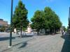 08-07-2013-1615.jpg