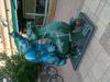 09-07-2013-1552.jpg