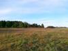 10-07-2013-1497.jpg