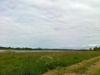 12-07-2013-1462.jpg