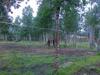 13-07-2013-1363.jpg