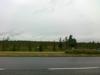 15-07-2013-1045.jpg