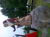 15-07-2013-1046.jpg