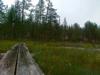 16-07-2013-1001.jpg