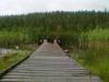 16-07-2013-1010.jpg