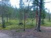 16-07-2013-1016.jpg