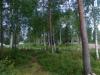 16-07-2013-1042.jpg