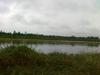 17-07-2013-0958.jpg