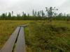 17-07-2013-0959.jpg