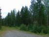 17-07-2013-0969.jpg