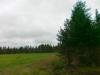 17-07-2013-0976.jpg