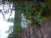 18-07-2013-0868.jpg