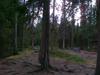 19-07-2013-0832.jpg