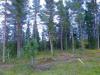 20-07-2013-0691.jpg