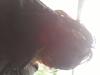 20-07-2013-0775.jpg