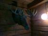 22-07-2013-0642.jpg