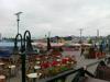 22-07-2013-0645.jpg
