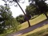 23-07-2013-0508.jpg