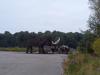 24-07-2013-0341.jpg