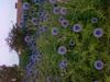 24-07-2013-0357.jpg