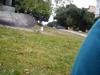 24-07-2013-0375.jpg