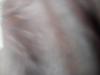 24-07-2013-0451.jpg
