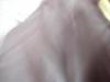 24-07-2013-0453.jpg