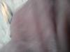 24-07-2013-0462.jpg