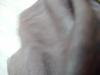 24-07-2013-0468.jpg