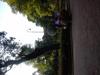25-07-2013-0300.jpg