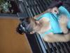 27-07-2013-0034.jpg